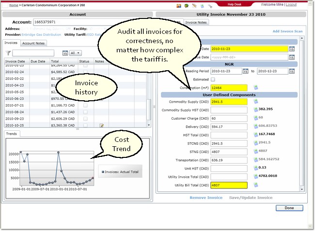 The invoice pane shows history and cost trends, as well as the invoice auditing process, during manual entry.